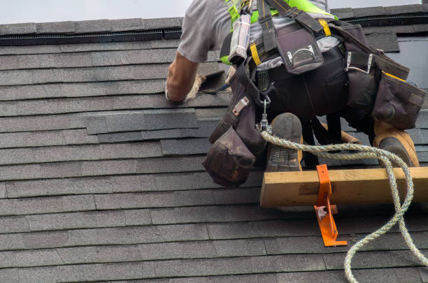 Quick and Trustworthy Emergency Roof Repair Services in Naperville, IL