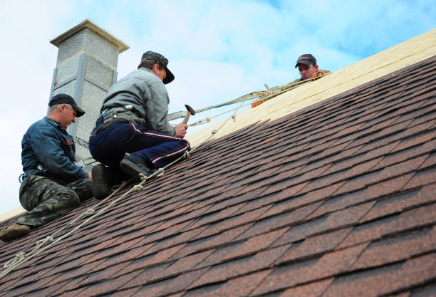 Professional Roofing Contractor in Naperville, IL